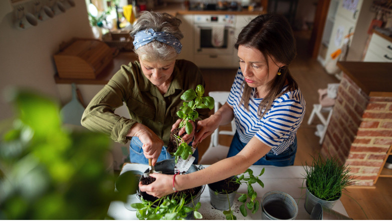 Gartenarbeit im Haus für Senioren: Verbesserung der geistigen Gesundheit